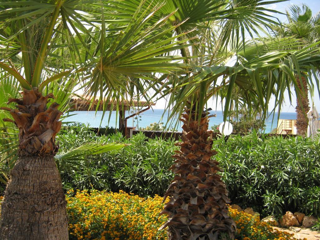 Villa Baia Di Cornino Custonaci Δωμάτιο φωτογραφία