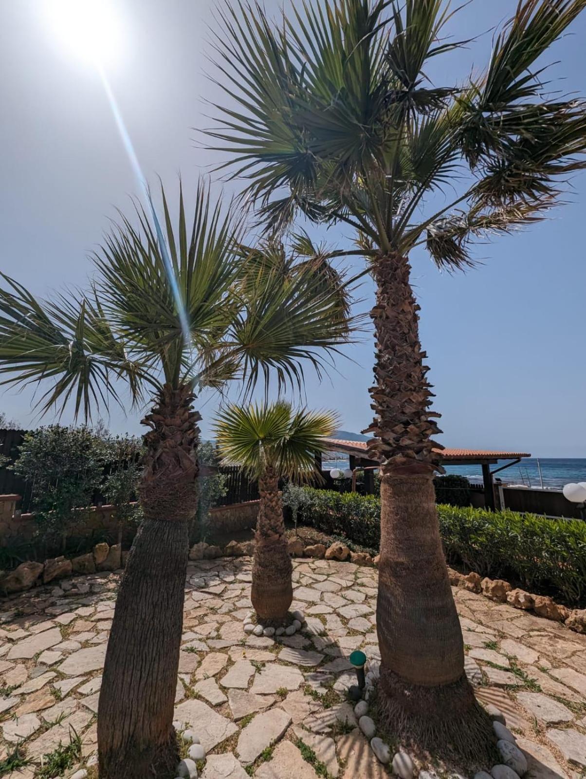 Villa Baia Di Cornino Custonaci Εξωτερικό φωτογραφία